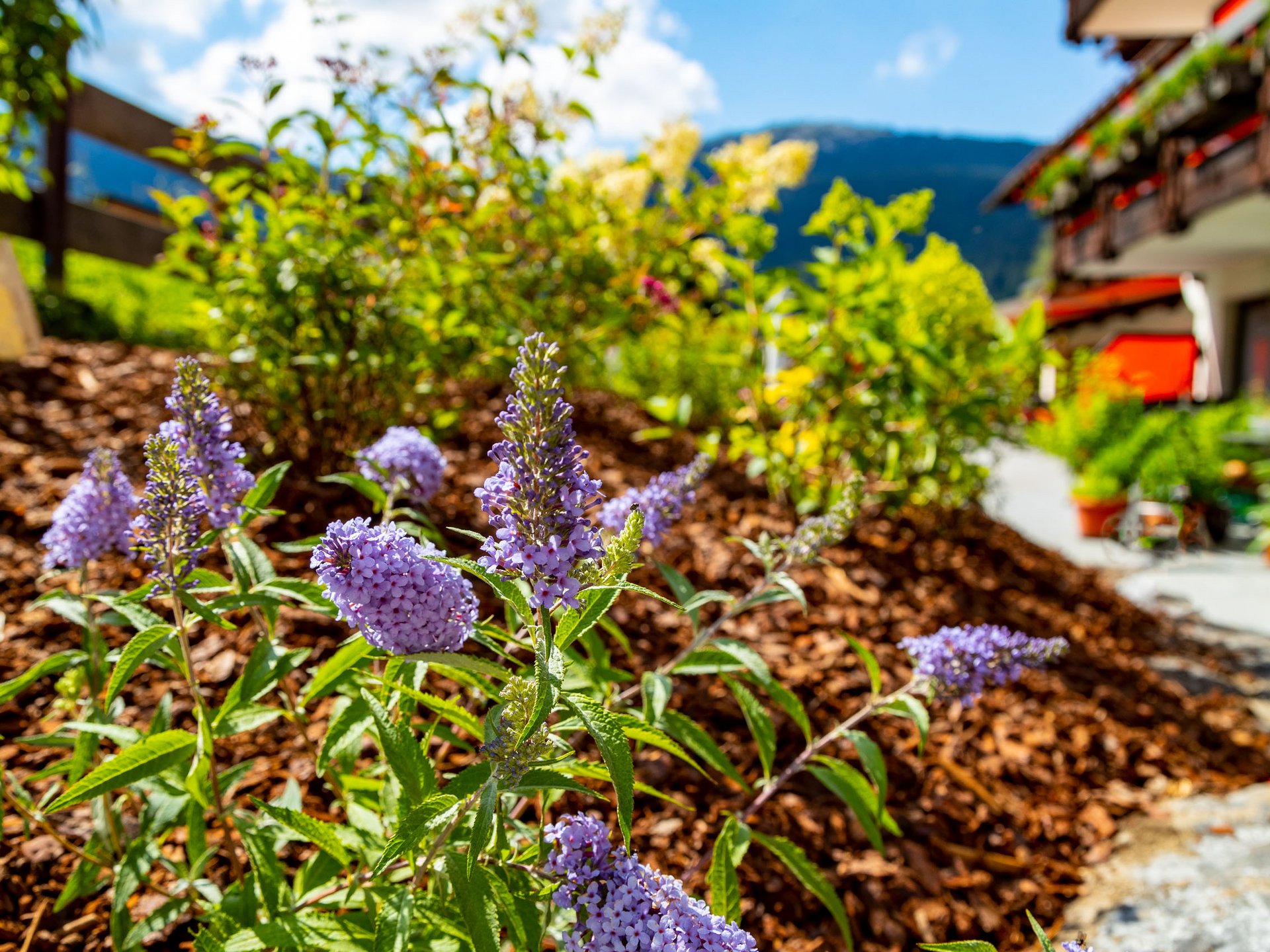 Lebensfeuer im Hotel Gemma Lebensfeuer im Hotel Gemma
