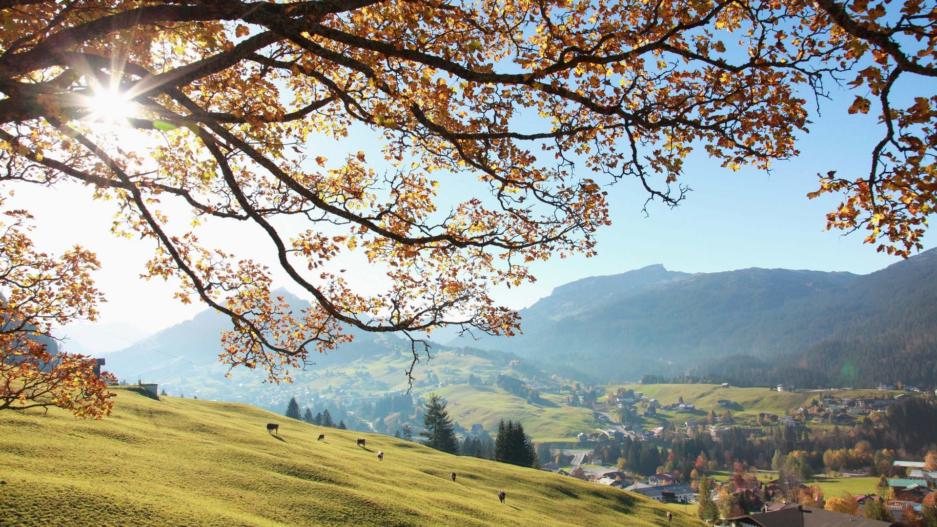 Urlaub im Kleinwalsertal: Sommer, Herbst, Winter, Frühling Urlaub im Kleinwalsertal: Sommer, Herbst, Winter, Frühling
