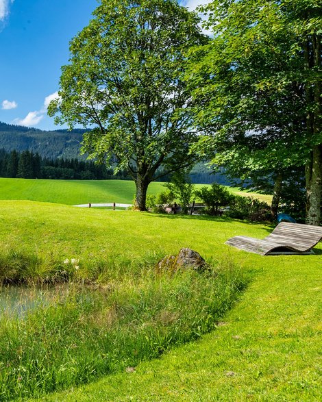 Garten und Terrasse für Wellness: Hotel im Kleinwalsertal Garten und Terrasse für Wellness: Hotel im Kleinwalsertal