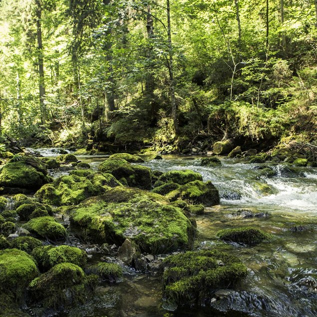 Urlaub im Kleinwalsertal: Hotel Gemma Urlaub im Kleinwalsertal: Hotel Gemma
