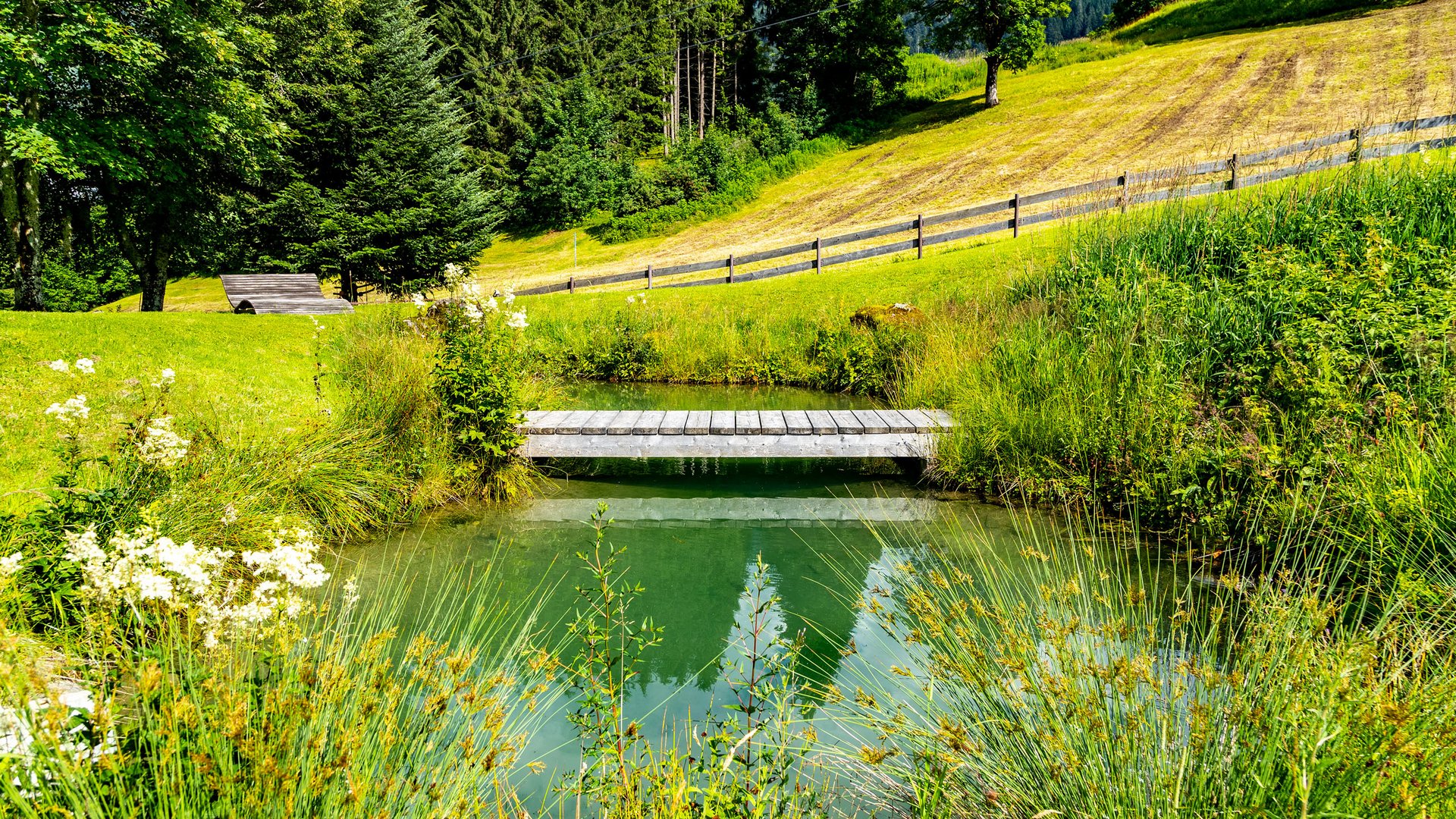 Urlaub im Kleinwalsertal: Hotel Gemma Urlaub im Kleinwalsertal: Hotel Gemma