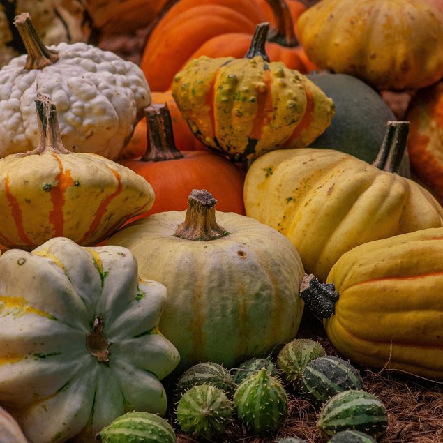 Urlaub im Kleinwalsertal: Hotel Gemma Urlaub im Kleinwalsertal: Hotel Gemma